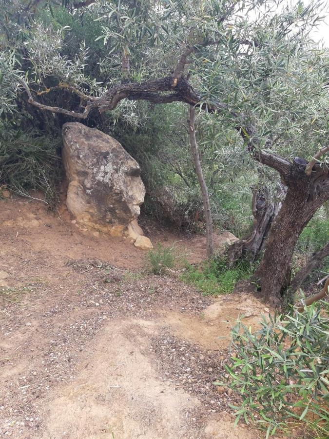 הוילה אלגודונאלס Casa Rio Y Luz מראה חיצוני תמונה